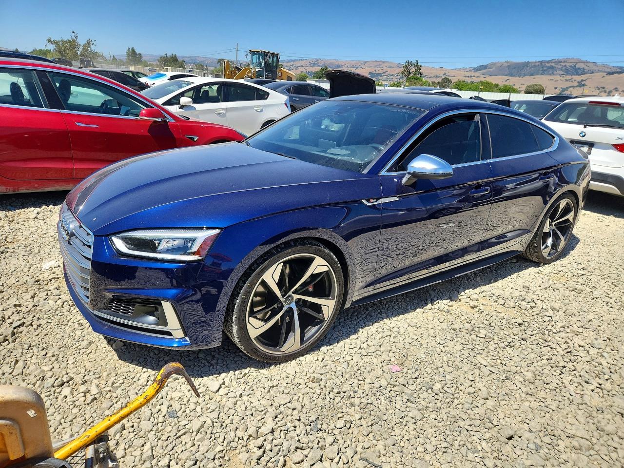 2019 Audi S5 Sportback Prestige, VIN WAUC4CF56KA074572 — Мелкие вмятины и царапины