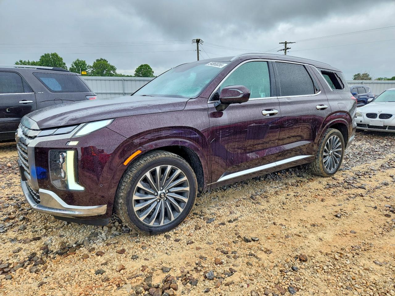 2024 Hyundai Palisade Calligraphy, VIN KM8R7DGEXRU713419 — Hail