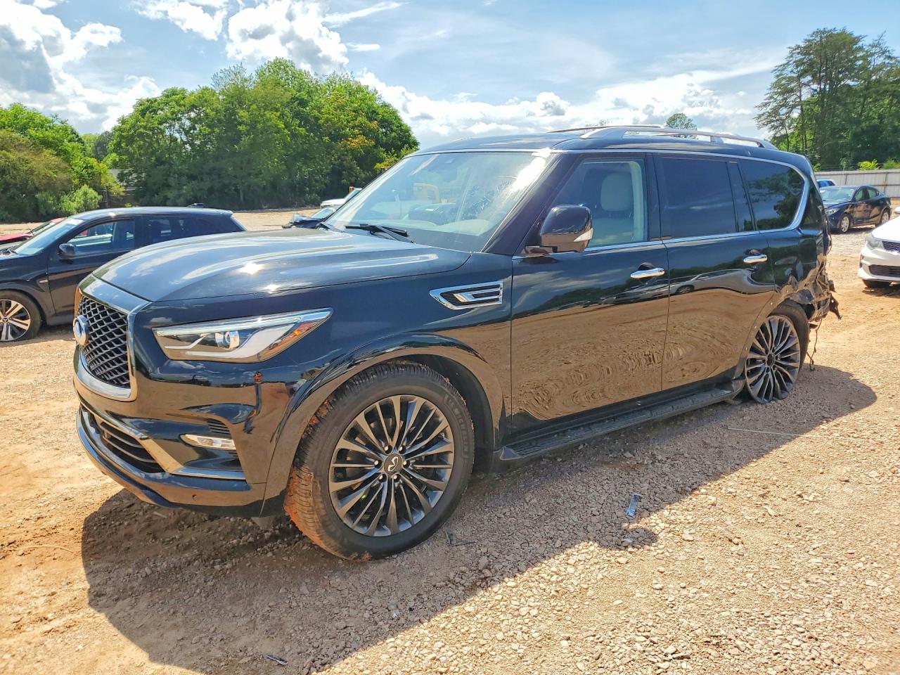 2022 Infiniti QX80 Premium Select, VIN JN8AZ2AF3N9741405 — Rear end