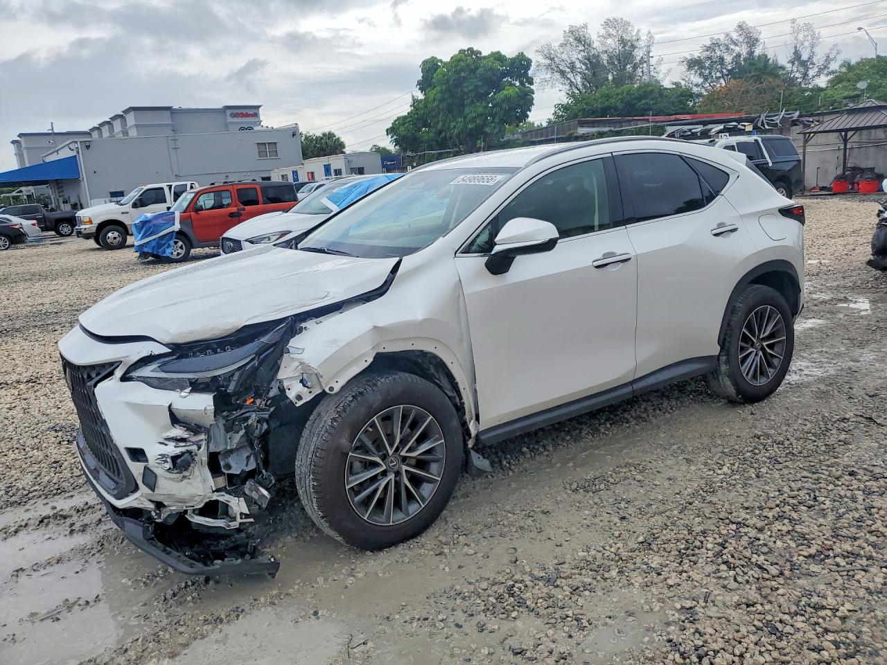 2023 Lexus NX 250, VIN JTJADCAZ9P5010477 — Front end