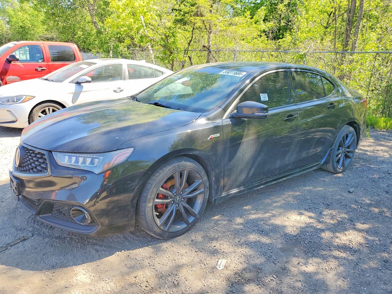 2018 Acura TLX Technology, VIN 19UUB1F61JA800333 — Вандализм