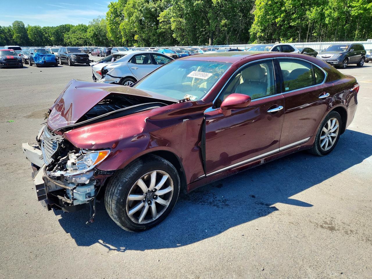 2009 Lexus LS 460, VIN JTHCL46FX95001727 — Front end