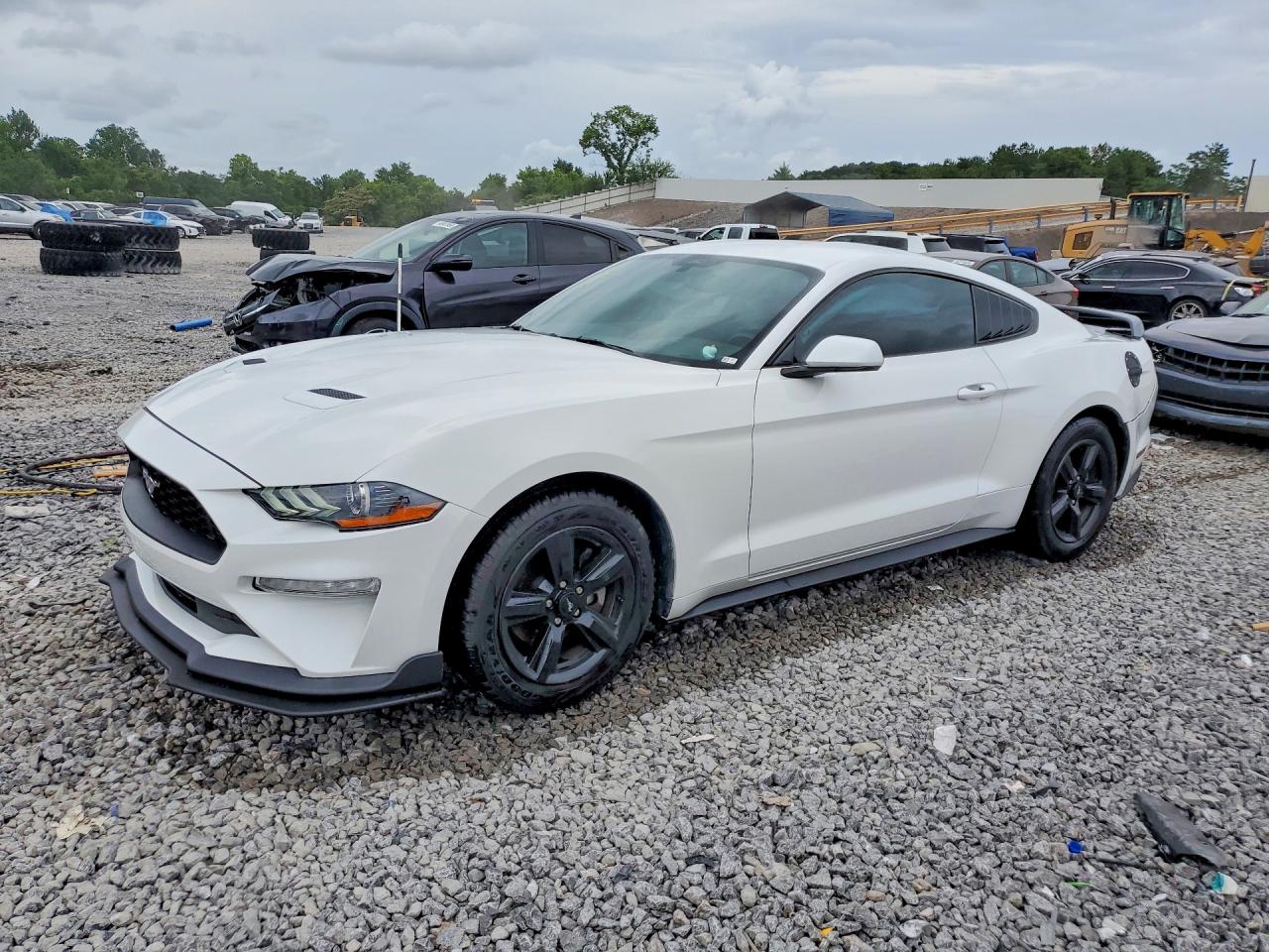 2019 Ford Mustang EcoBoost, VIN 1FA6P8TH5K5187365 — Зад