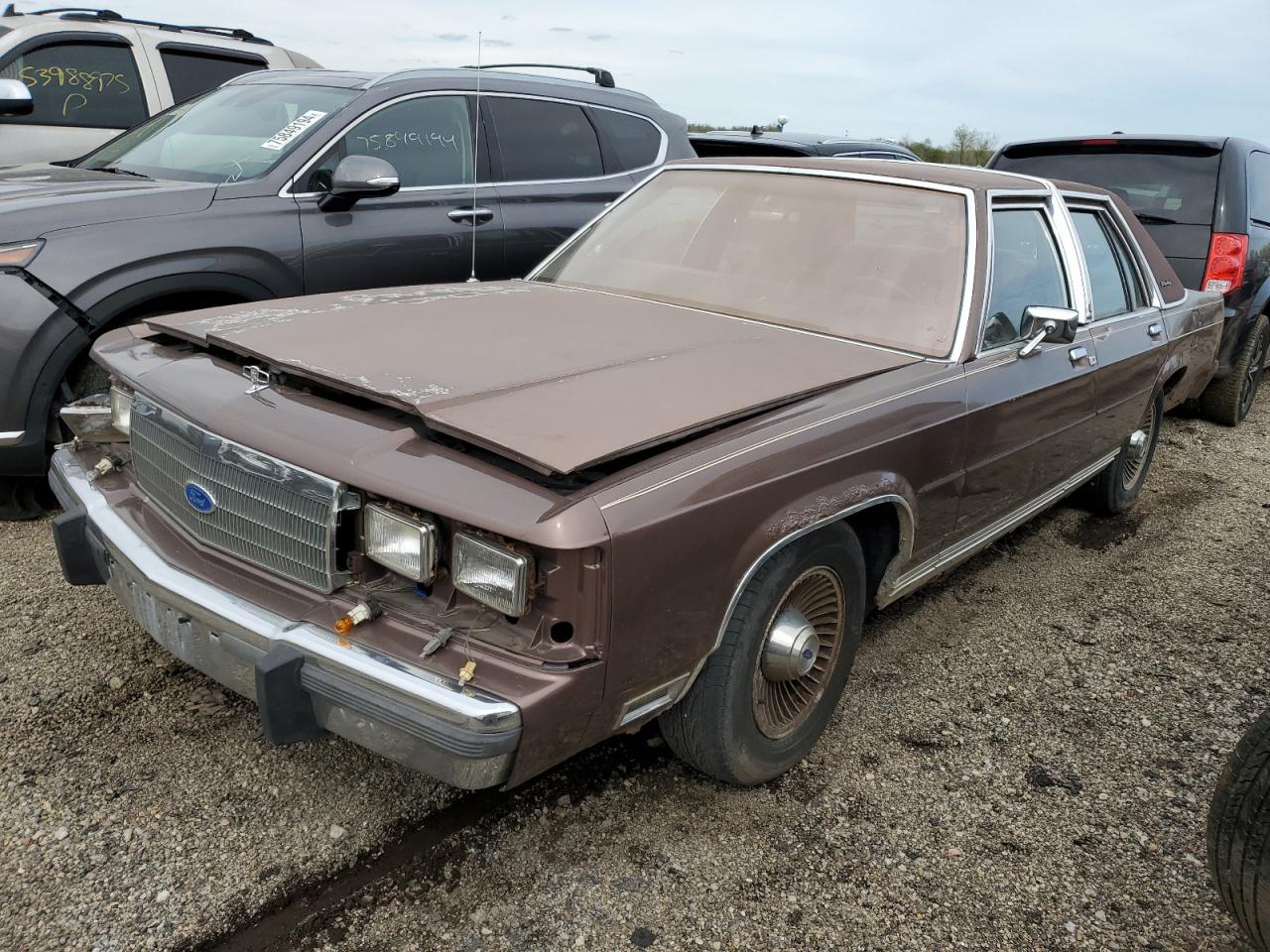 1989 Ford Crown Victoria, VIN 2FABP74F0KX102968 — Rear end