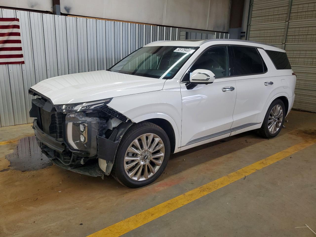 2020 Hyundai Palisade Limited, VIN KM8R54HE7LU158117 — Side