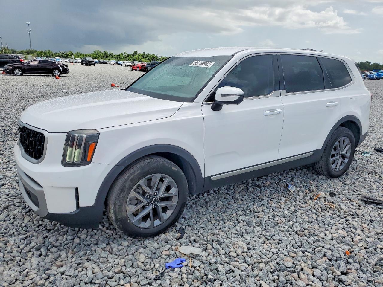 2023 Kia Telluride LX, VIN 5XYP24GCXPG357853 — Бок