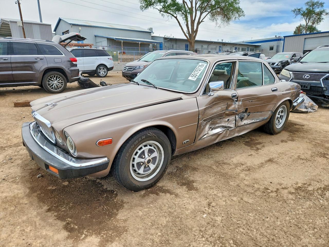1986 Jaguar XJ, VIN SAJAY1341GC442023 — Side