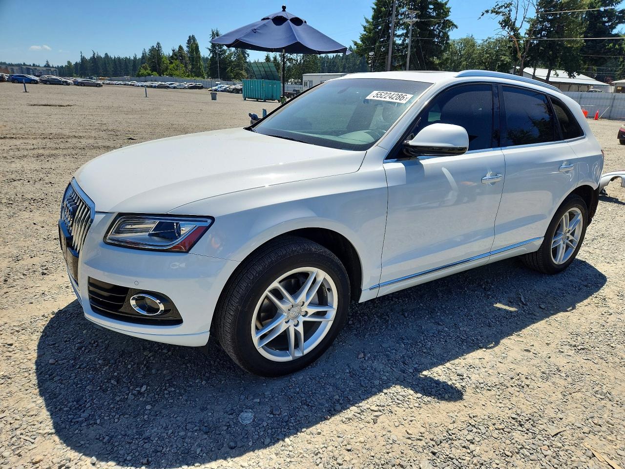 2016 Audi Q5 Premium Plus, VIN WA1L2AFP1GA129445 — Rear end
