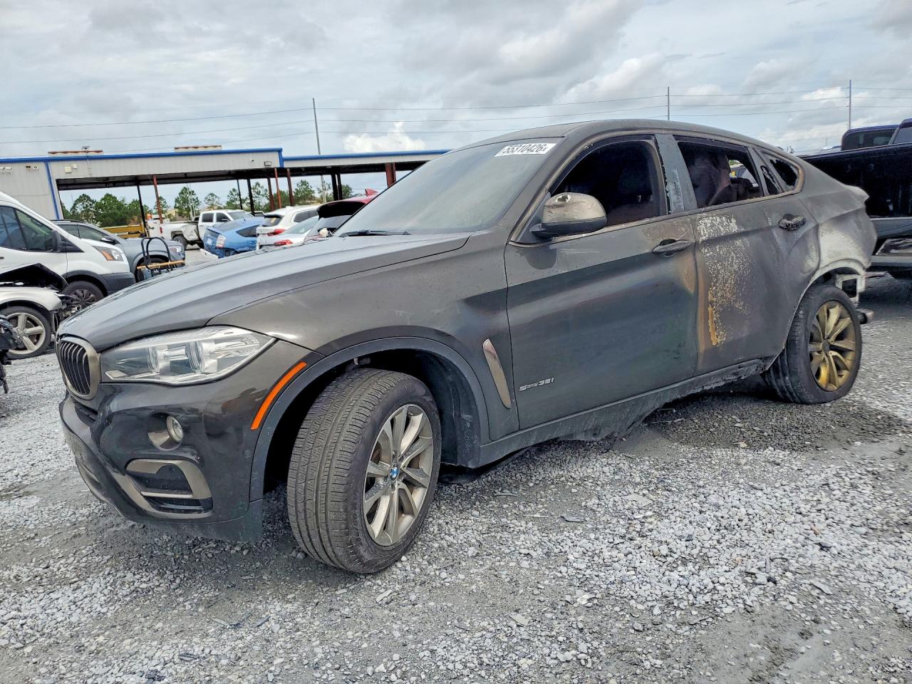 2019 BMW X6 sDrive35i, VIN 5UXKU0C52K0H98767 — Burn