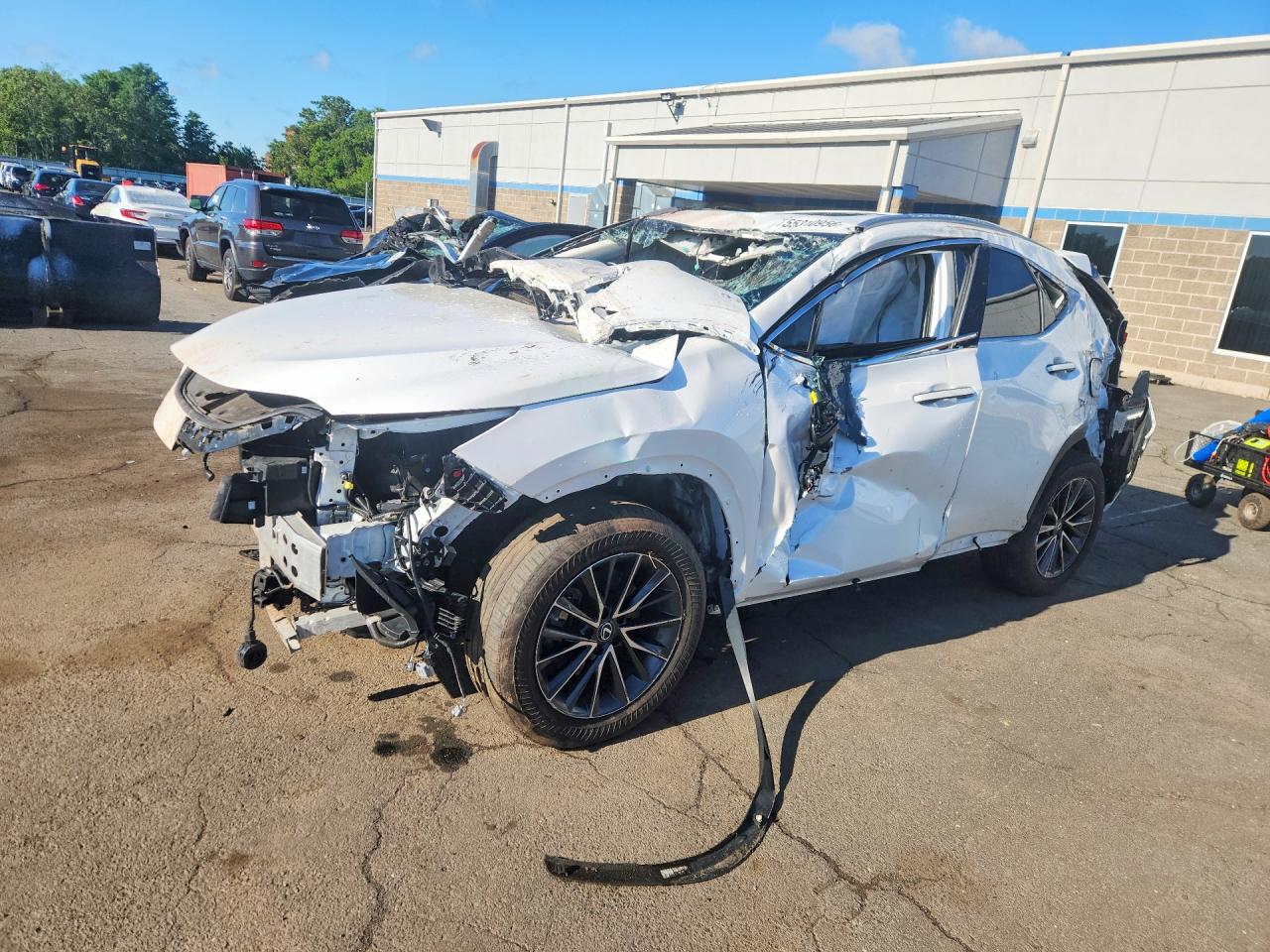 2022 Lexus NX 350h, VIN 2T2AKCEZ1NC001237 — All over