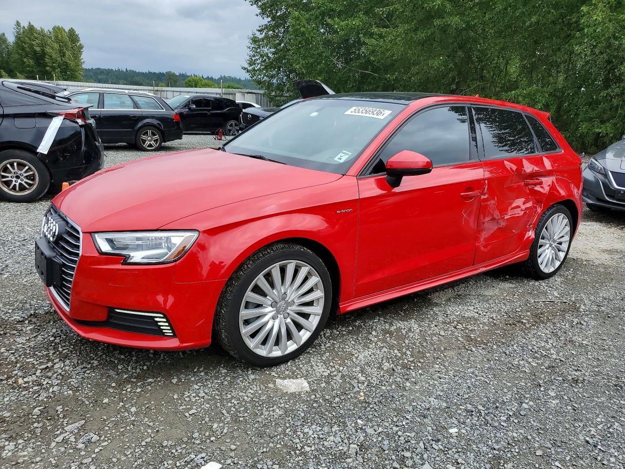 2017 Audi A3 e-tron Sportback Premium, VIN WAUUPBFF7HA049168 — Side