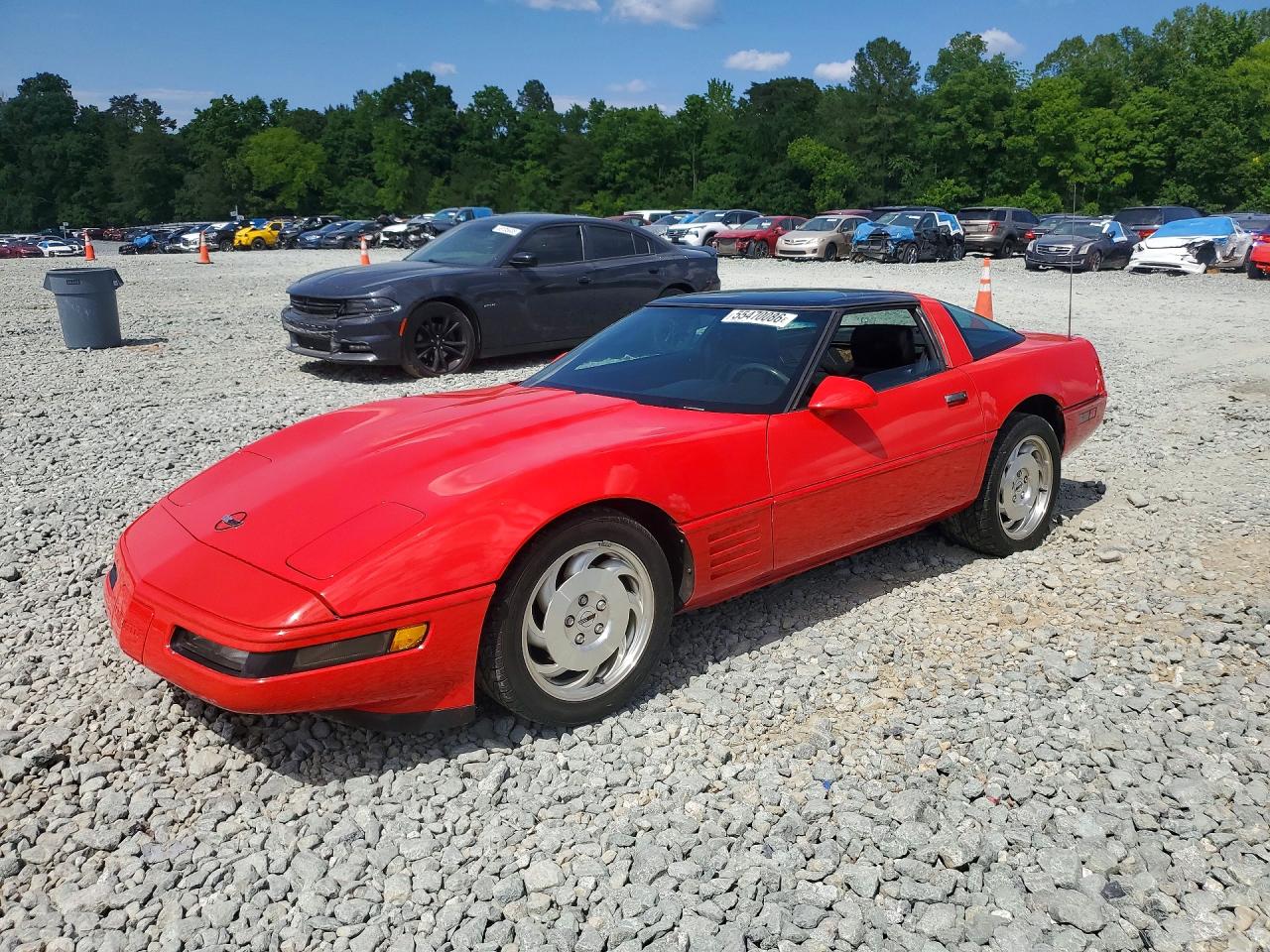 1993 Chevrolet Corvette, VIN 1G1YY23P9P5116903 — Front end