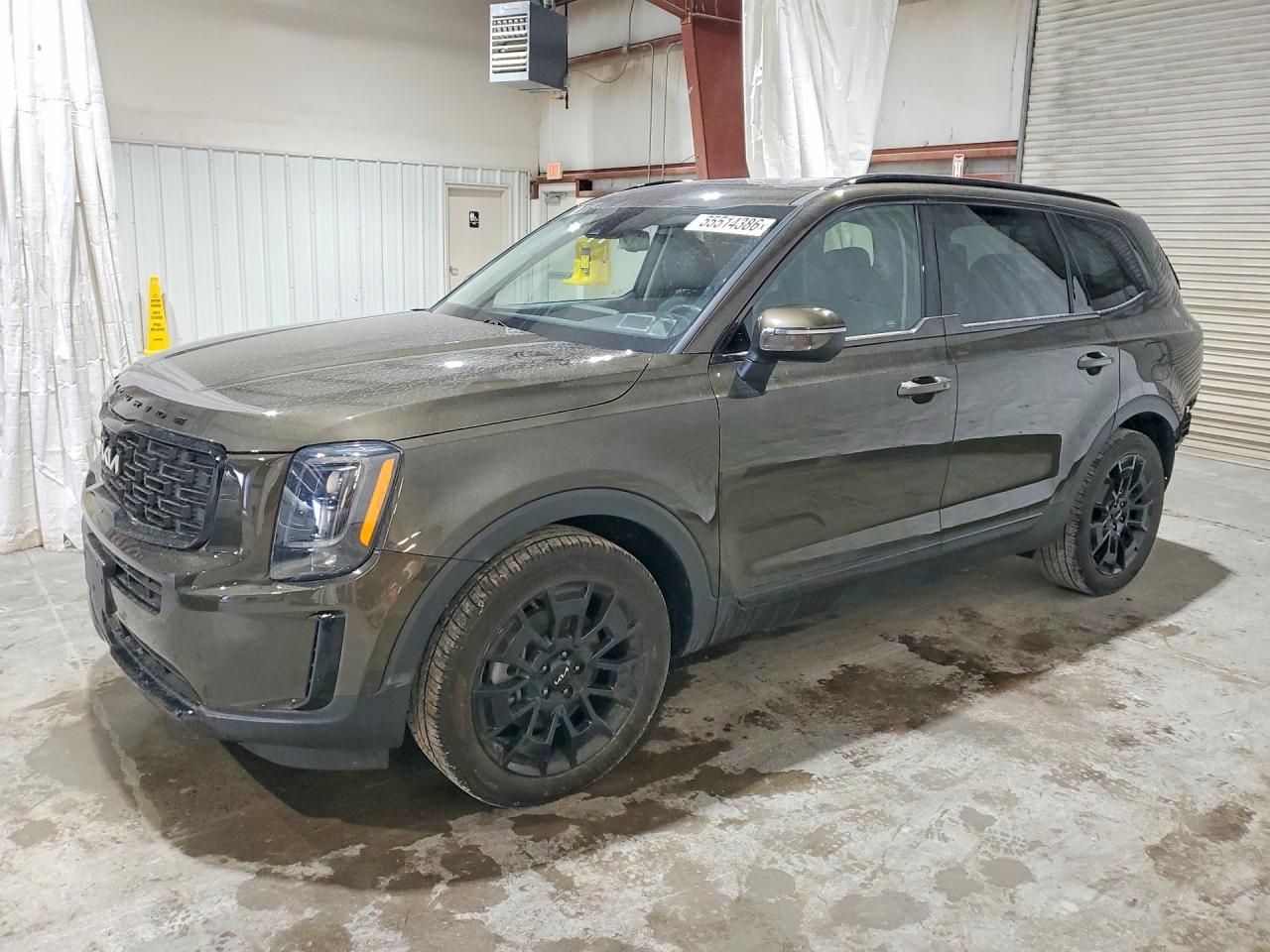 2022 Kia Telluride EX, VIN 5XYP3DHC7NG247495 — Rear end