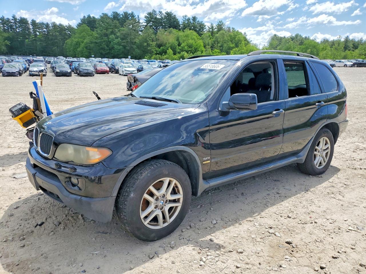 2005 BMW X5 3.0i, VIN 5UXFA13595LY14463 — Вандализм