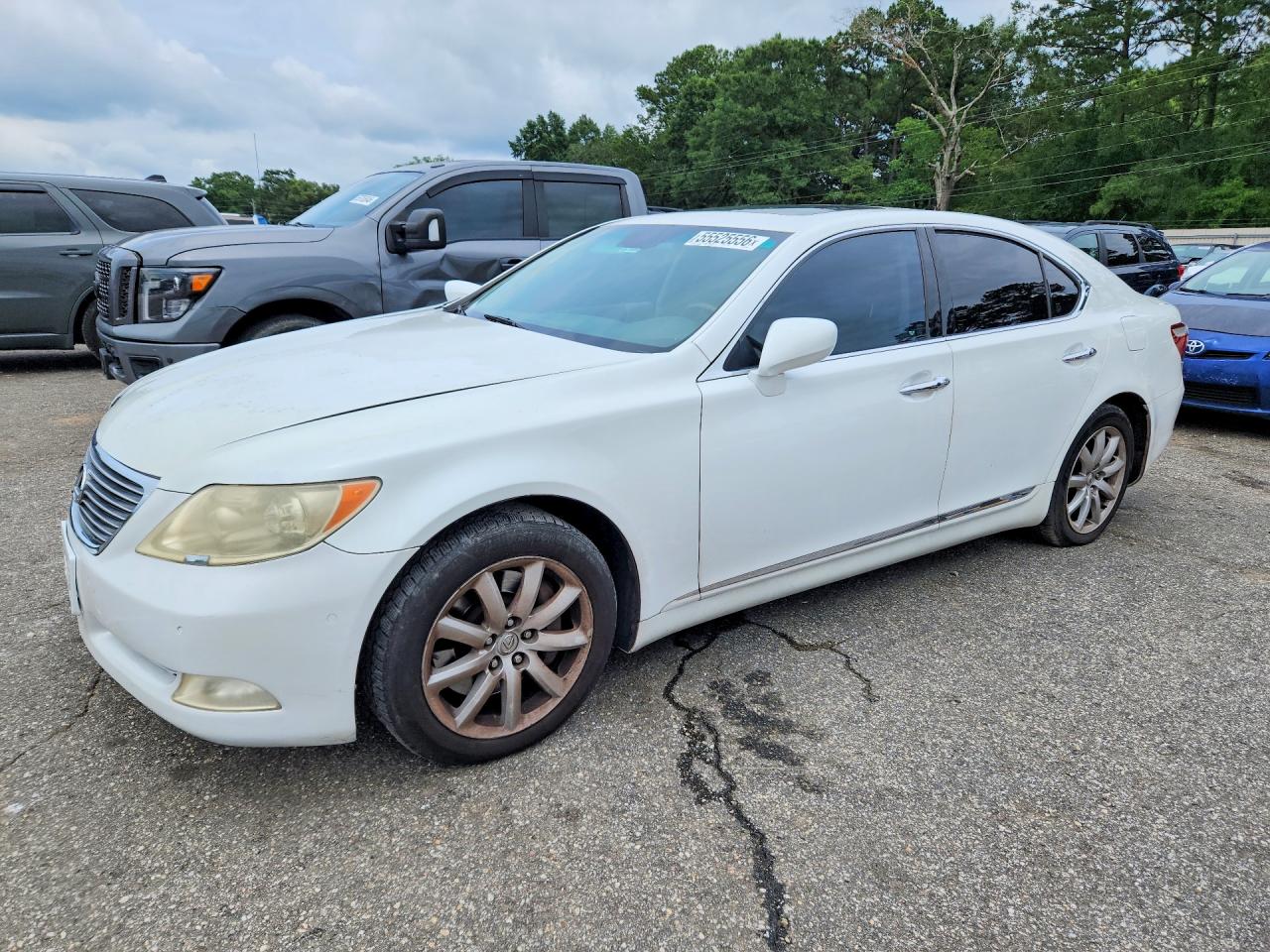 2009 Lexus LS 460, VIN JTHCL46F095002966 — Side