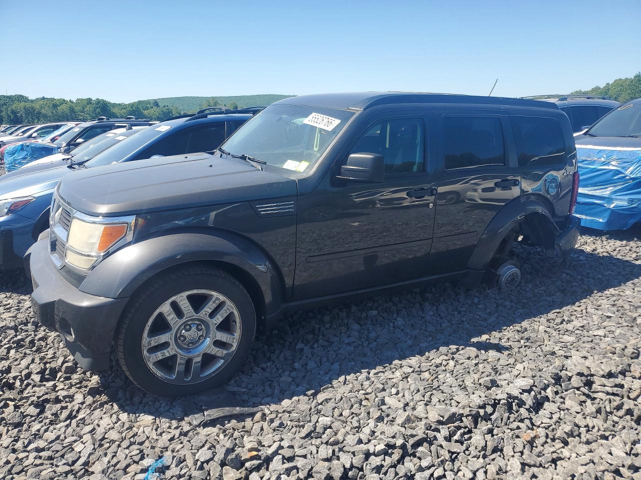 2010 Dodge Nitro SE, VIN 1D4PU2GK3AW147288 — Зад