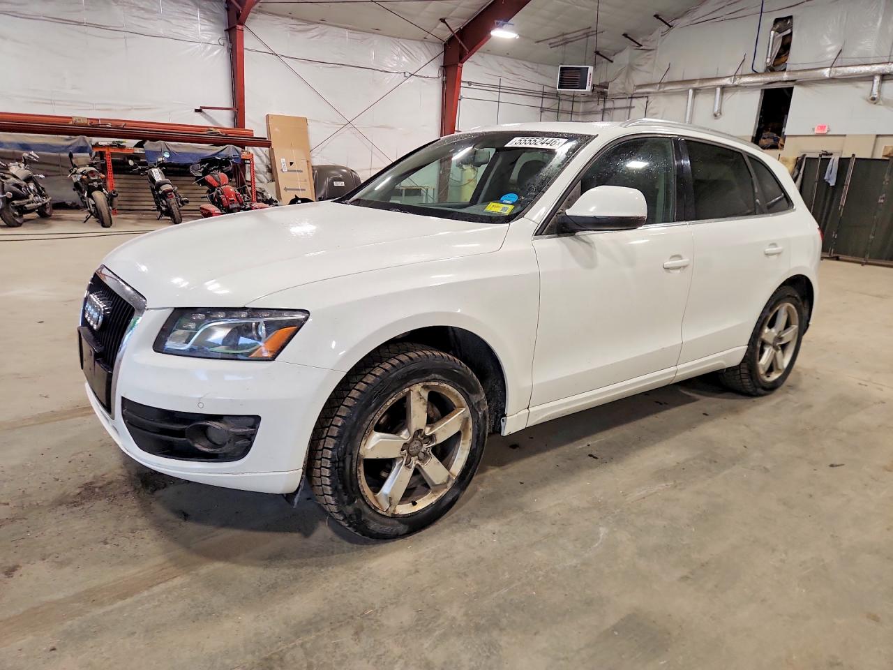 2009 Audi Q5 Premium, VIN WA1KK78R89A043386 — Minor dents and scratches