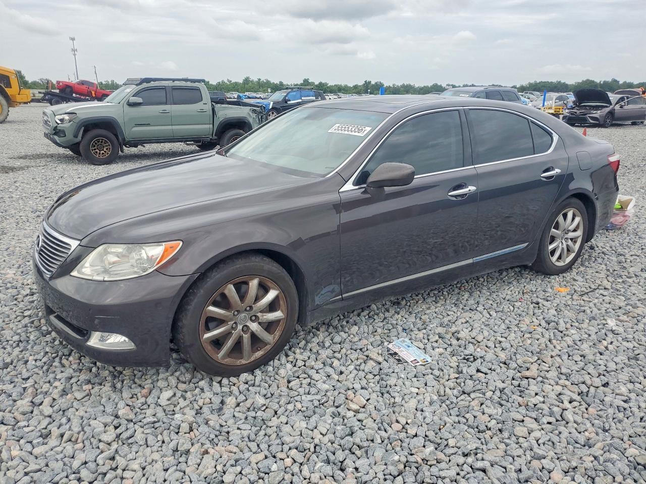2008 Lexus LS 460, VIN JTHBL46F085070825 — Side