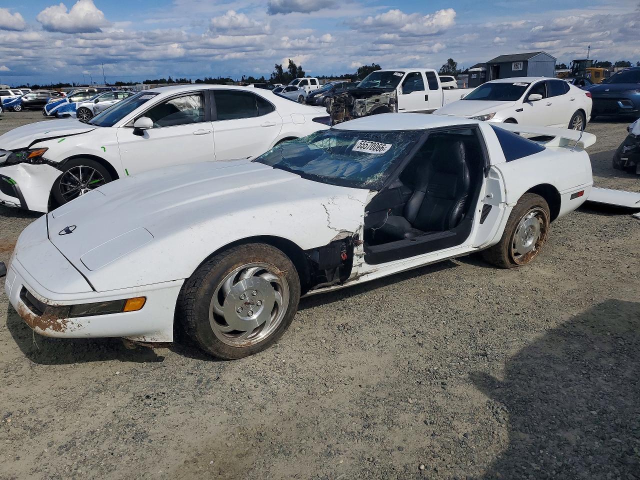 1995 Chevrolet Corvette, VIN 1G1YY22P7S5110933 — Side