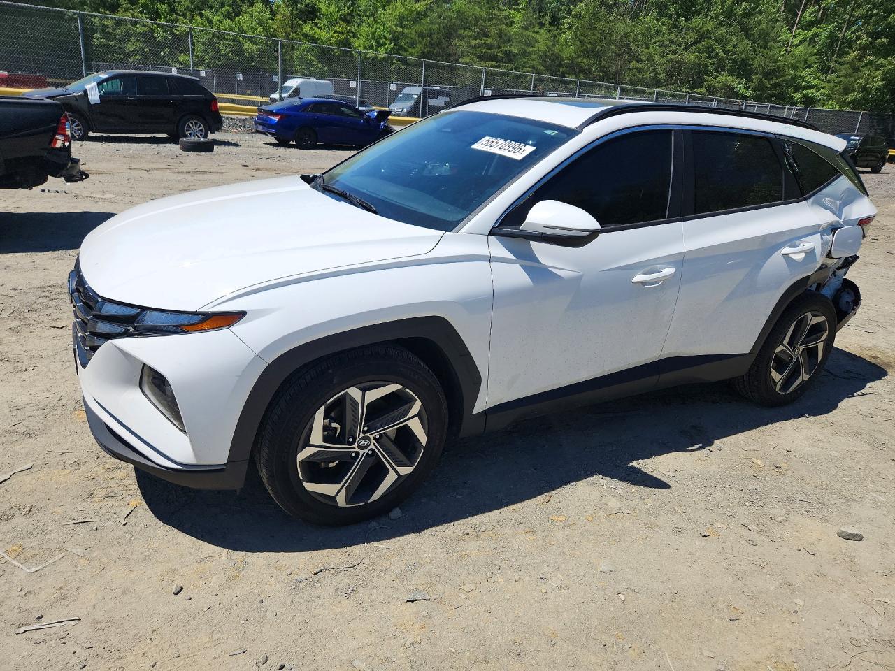 2023 Hyundai Tucson SEL, VIN 5NMJF3AE8PH184645 — Зад