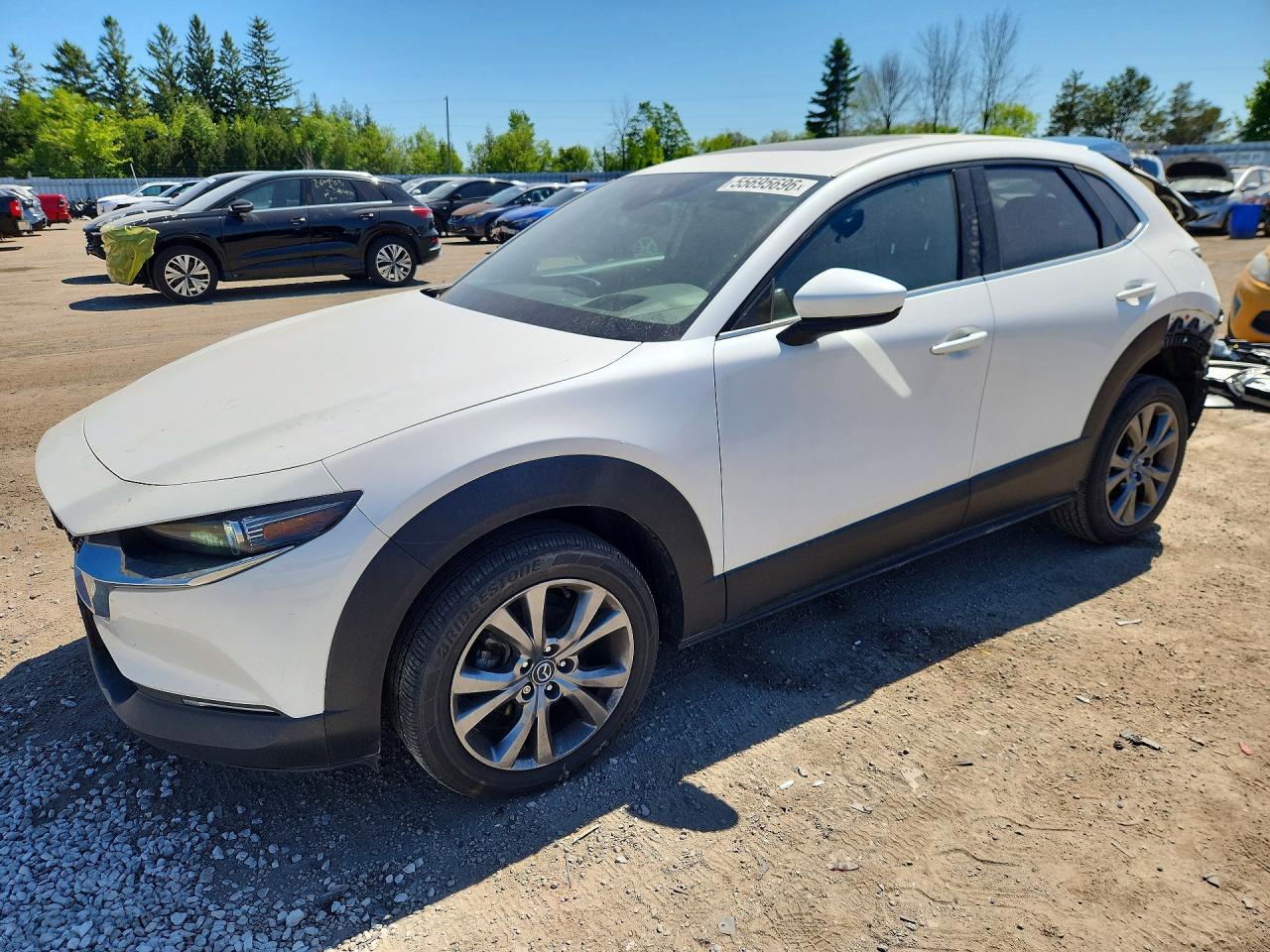 2021 Mazda CX-30 Premium, VIN 3MVDMBDL5MM205515 — Rear end