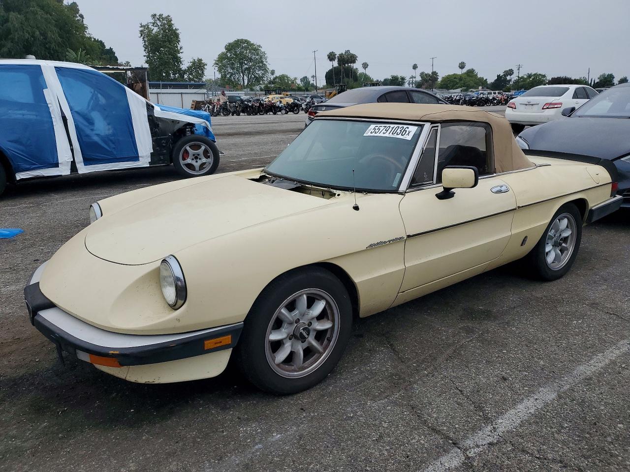 1984 Alfa Romeo Spider Veloce, VIN ZARBA5413E1020465 — Normal wear