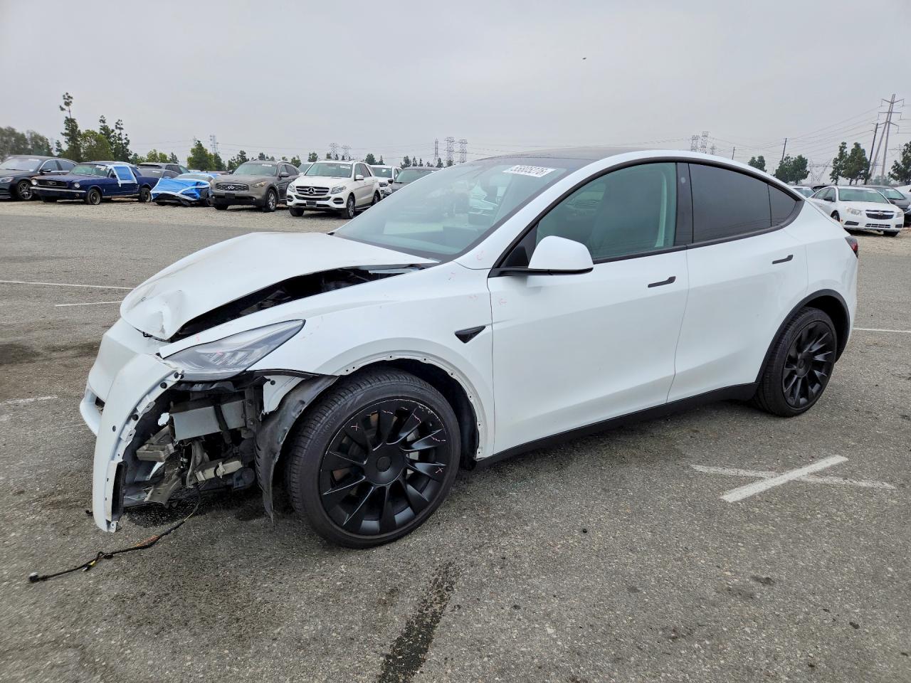 2021 Tesla Model Y Standard Range, VIN 5YJYGDED7MF125909 — Front end