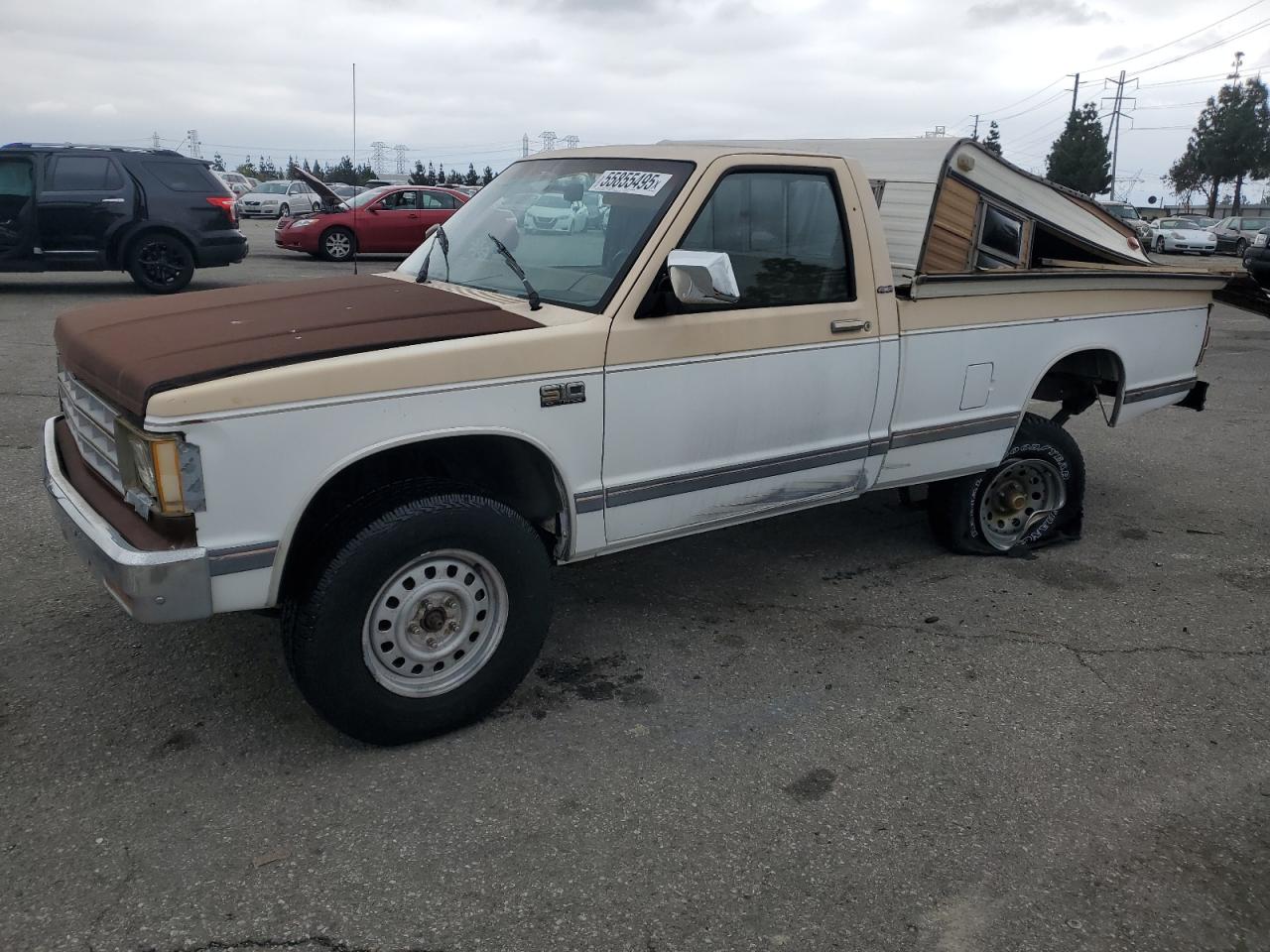 1985 Chevrolet S-10, VIN 1GCCT14B2F8267270 — Rear end