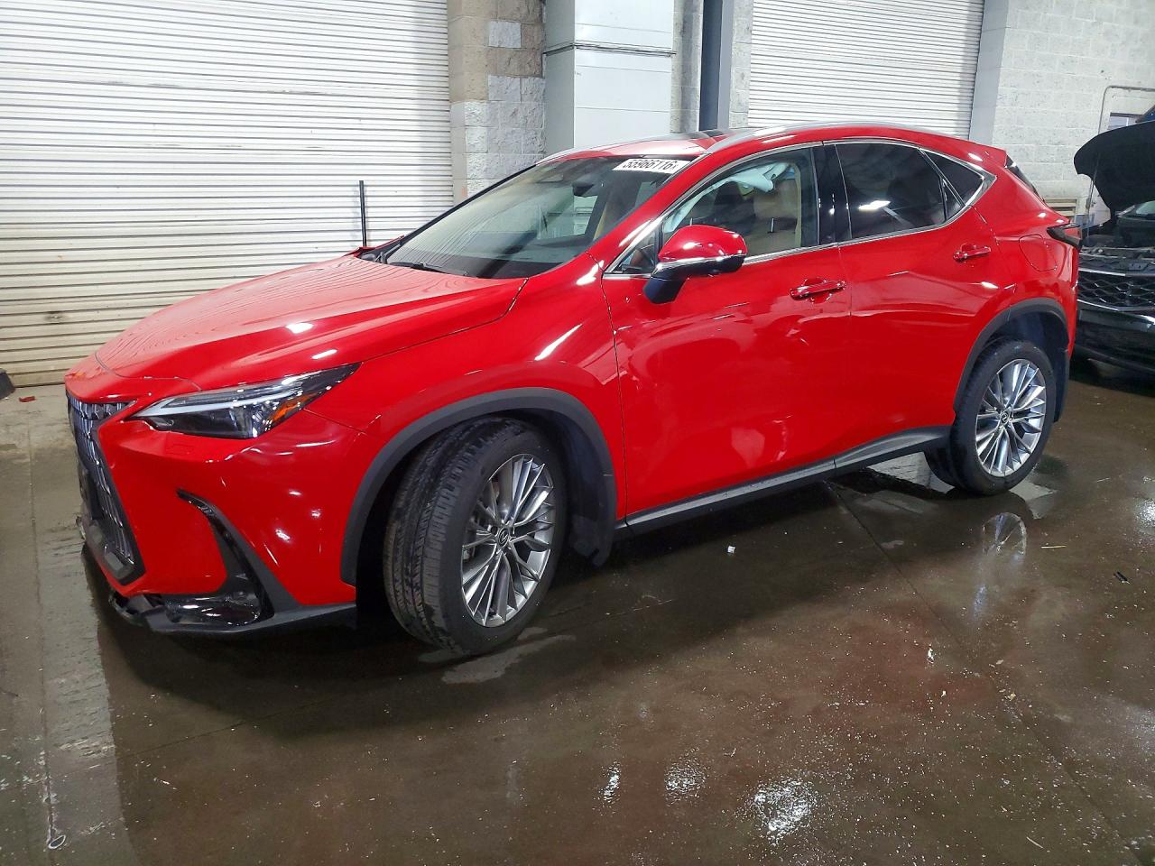 2024 Lexus NX 350 Luxury, VIN 2T2HGCEZ5RC055209 — Перед
