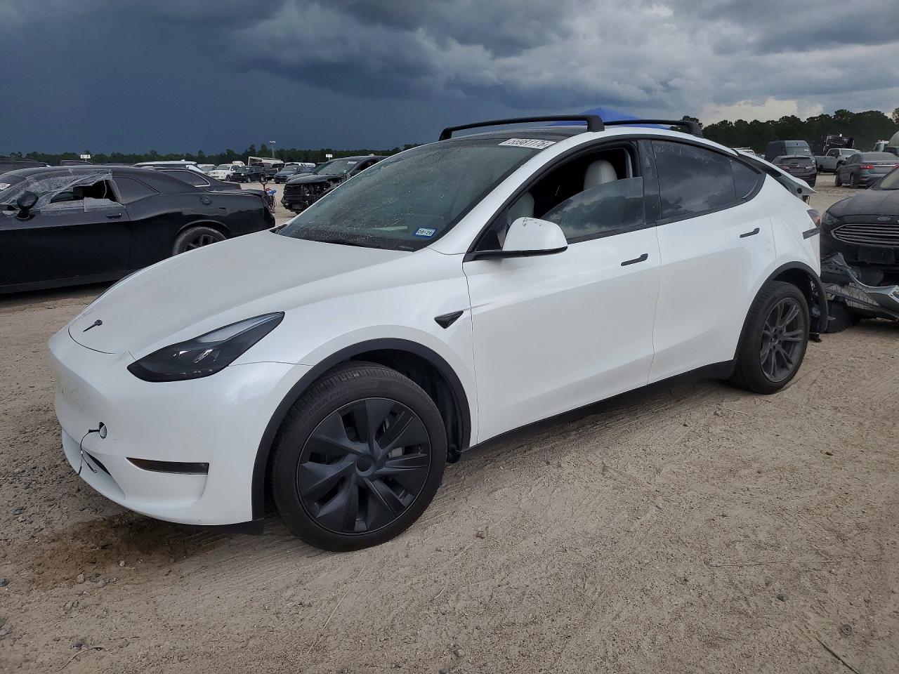 2024 Tesla Model Y Long Range, VIN 7SAYGDEE6RA313952 — Rear end