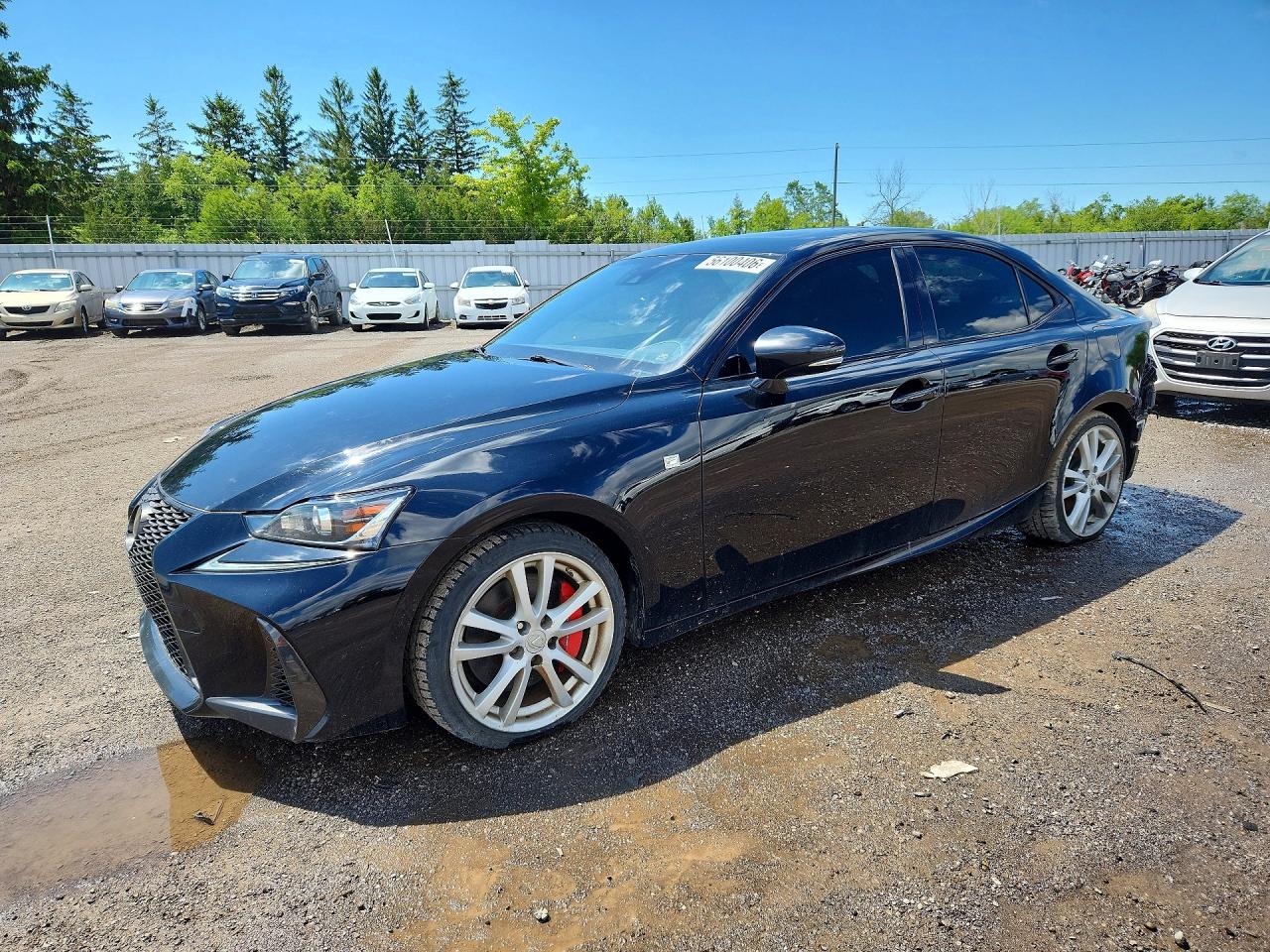 2019 Lexus IS 300 F Sport, VIN JTHC81D29K5039780 — Зад