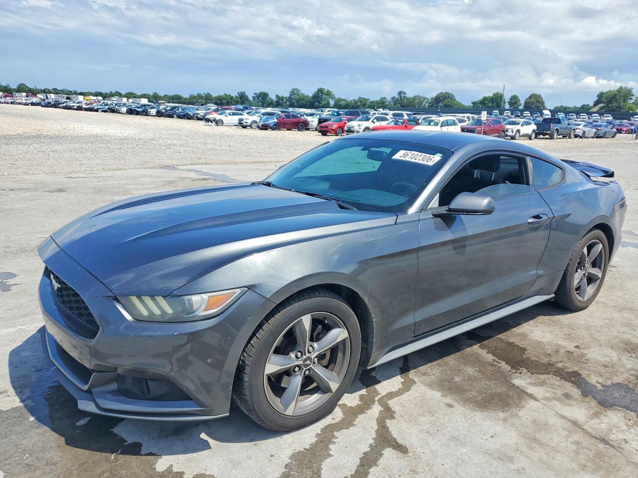 2016 Ford Mustang V6, VIN 1FA6P8AM8G5251034 — Rear end