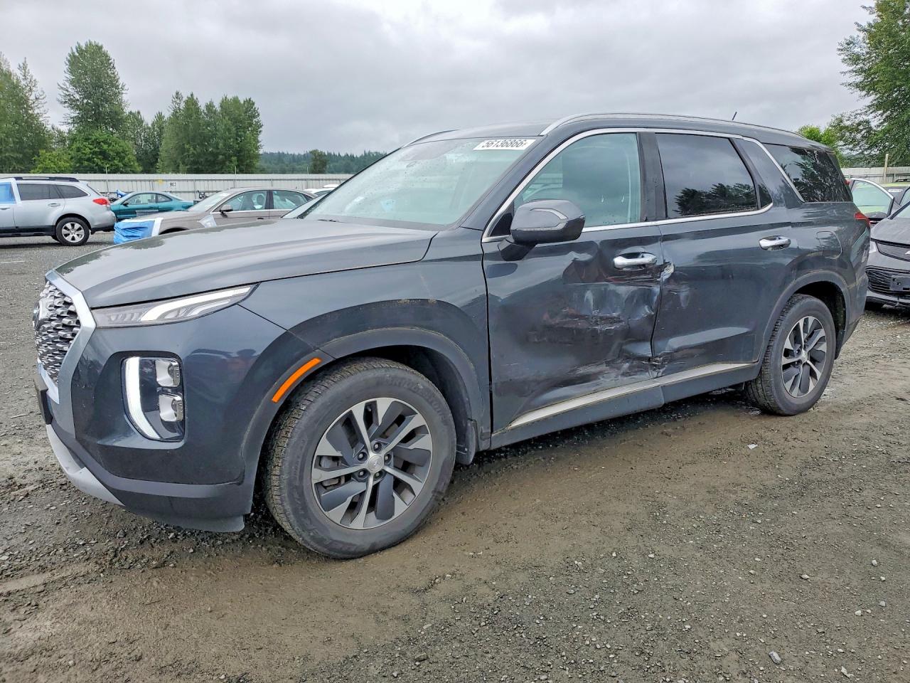 2020 Hyundai Palisade SEL, VIN KM8R2DHE3LU069735 — Side