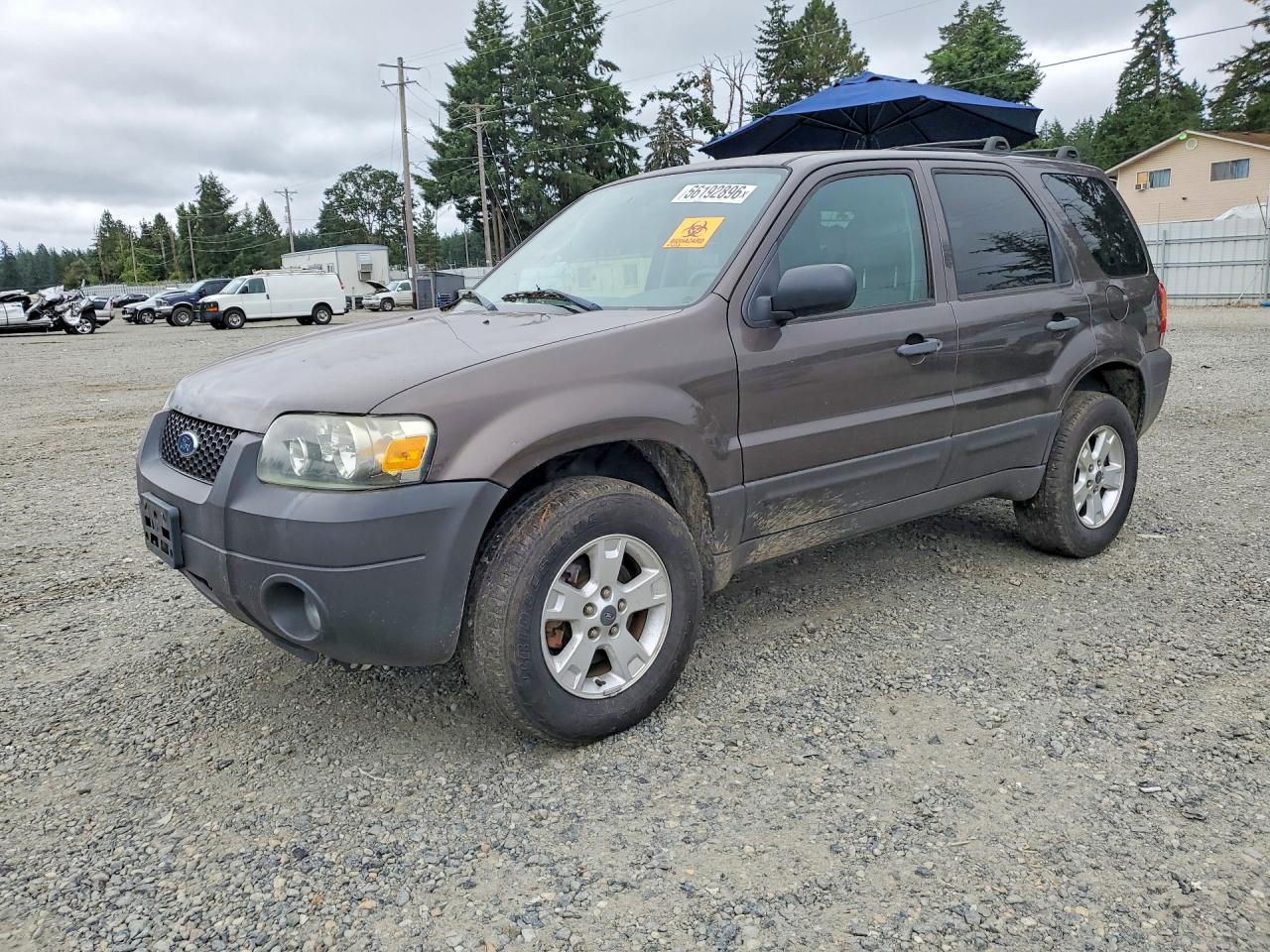 2006 Ford Escape XLT, VIN 1FMYU93196KC72538 — Minor dents and scratches