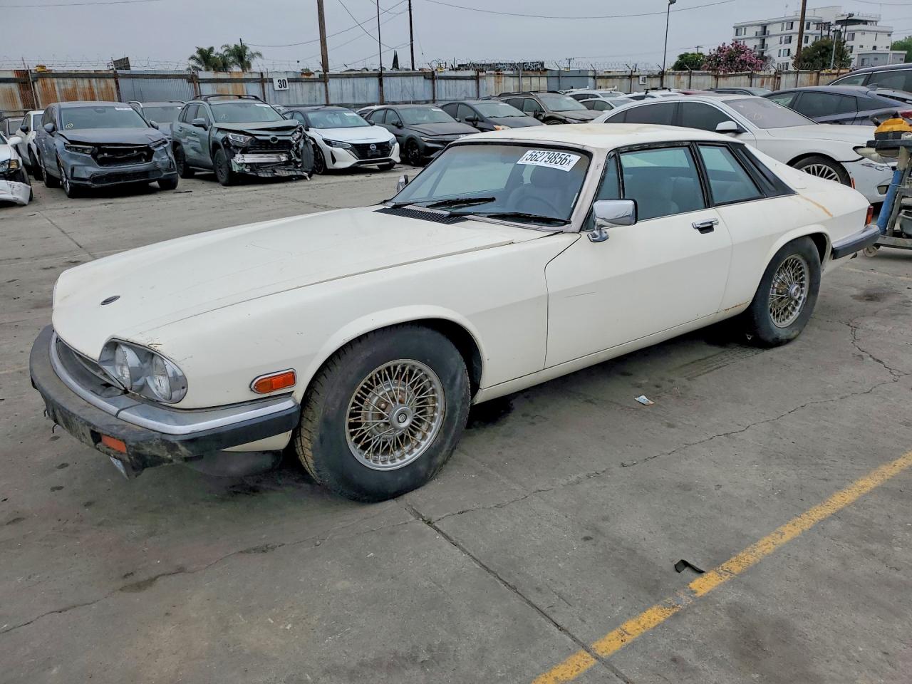 1984 Jaguar XJ, VIN SAJNV5842EC113497 — Мелкие вмятины и царапины
