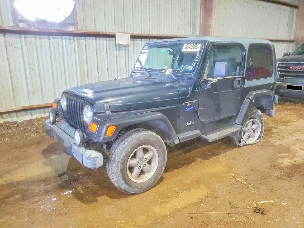 1998 Jeep Wrangler Sport, VIN 1J4FY19S6WP773661 — Minor dents and scratches