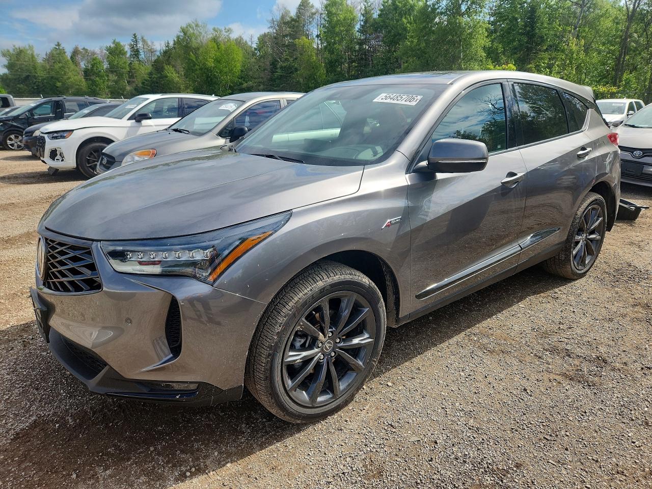2025 Acura RDX w/A-Spec Package, VIN 5J8TC2H63SL800951 — Rear end