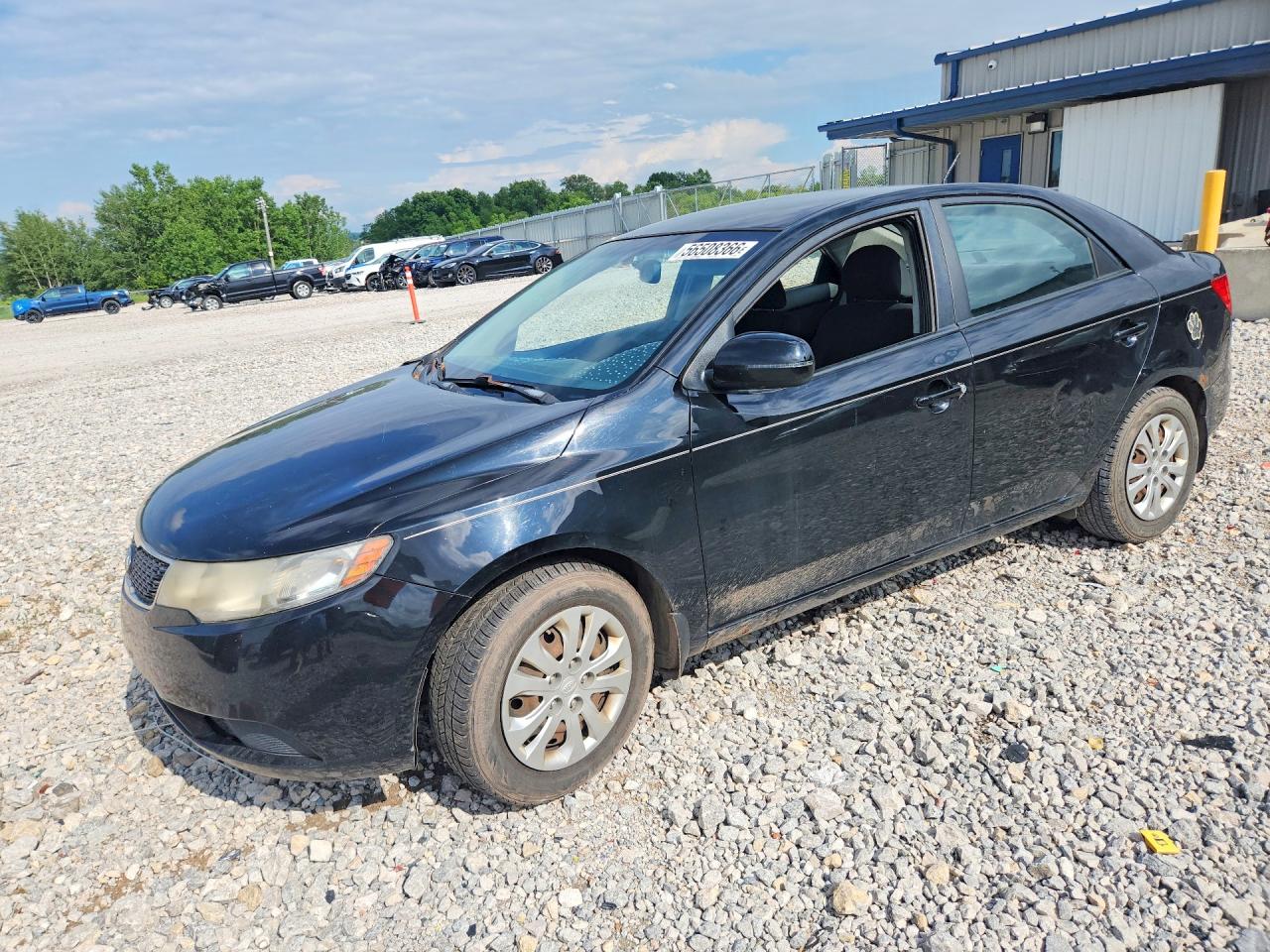 2012 Kia Forte EX, VIN KNAFU4A22C5558698 — Vandalism