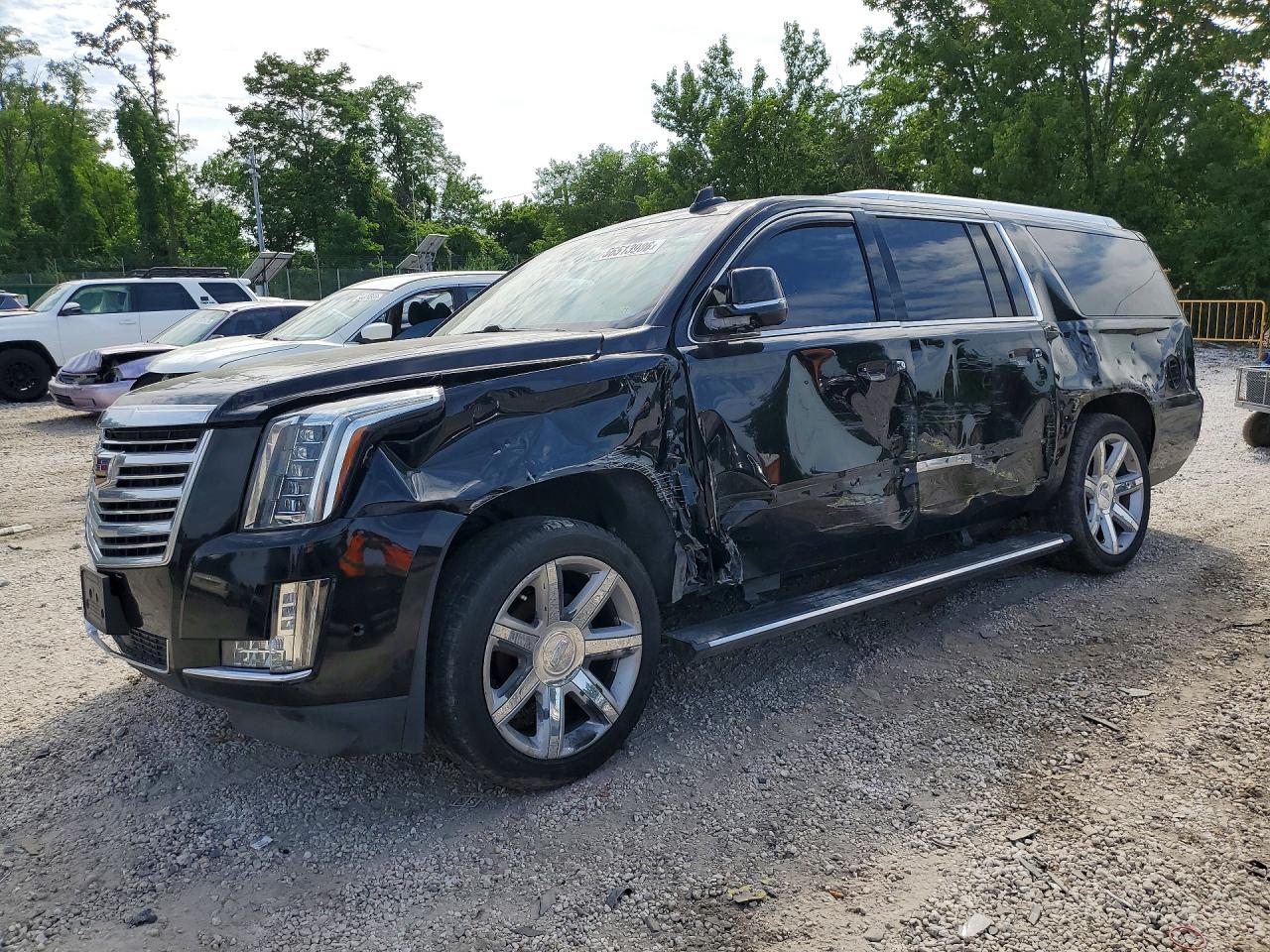 2019 Cadillac Escalade ESV Platinum, VIN 1GYS3KKJXKR162910 — Бок