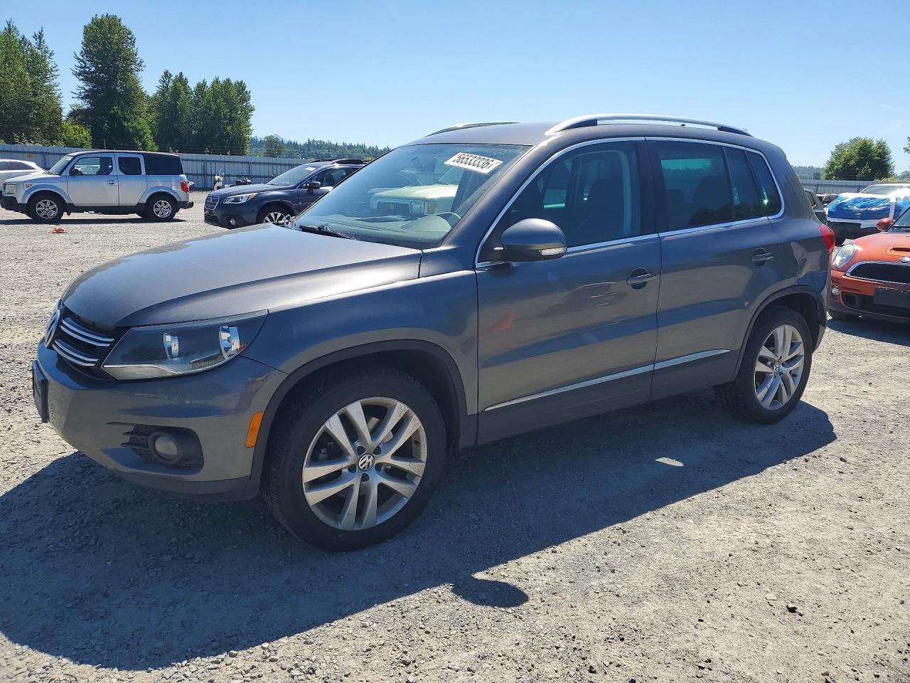 2013 Volkswagen Tiguan S, VIN WVGAV7AX9DW536244 — Rear end