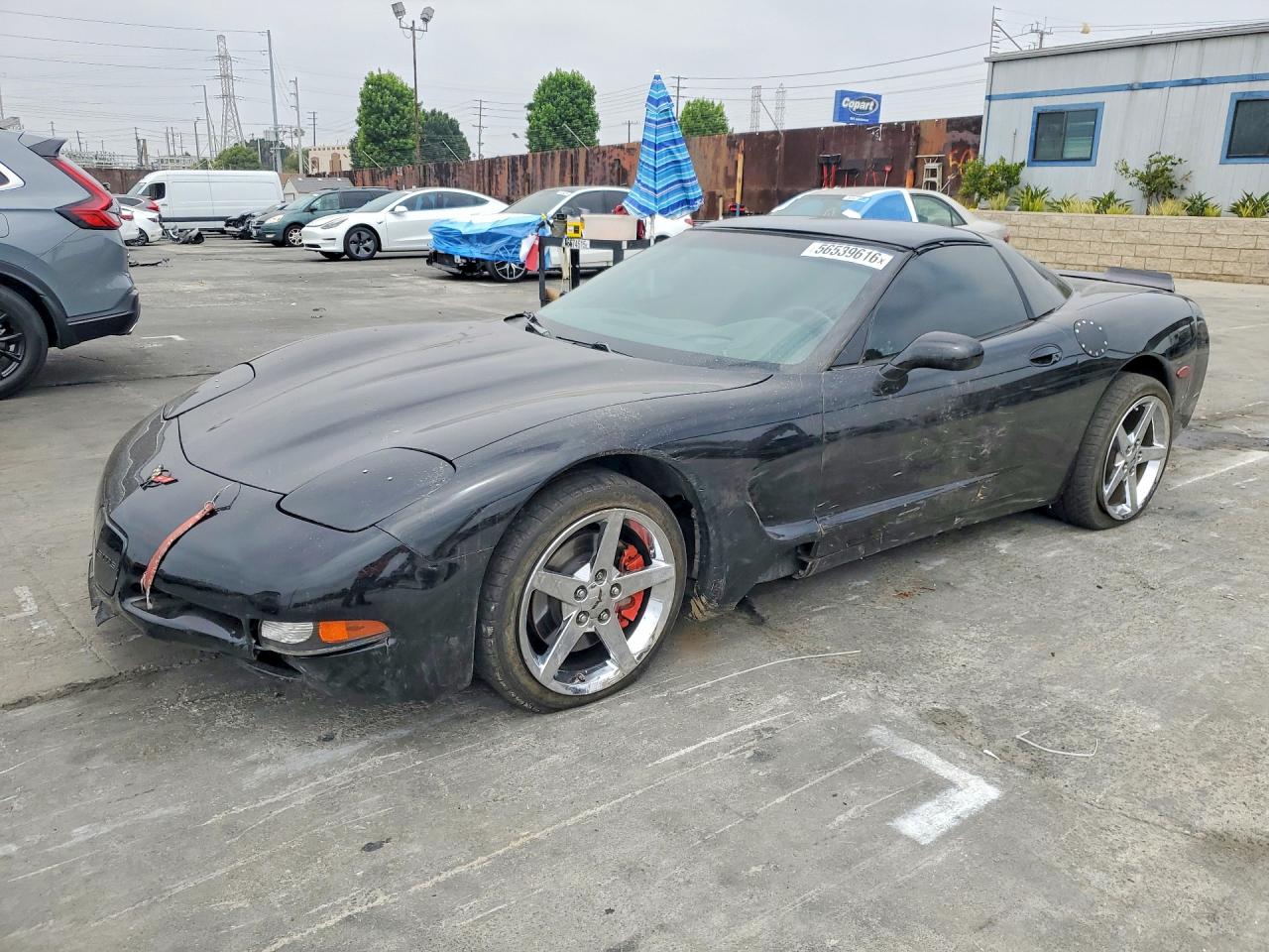 2000 Chevrolet Corvette, VIN 1G1YY22G0Y5107669 — Front end