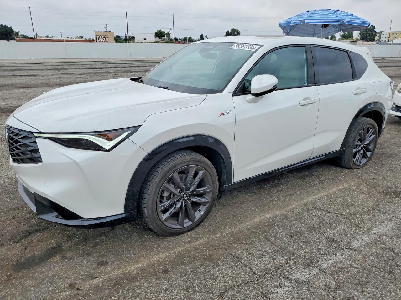 2025 Acura ADX w/A-Spec Package, VIN 3HDSA1H54SM705572 — Rear end