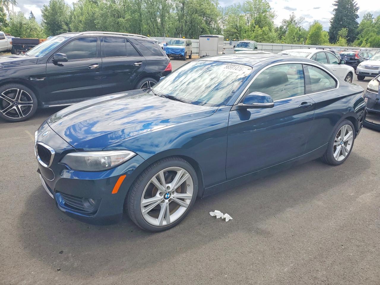 2014 BMW 2 Series 228i, VIN WBA1F5C5XEV246049 — Rear end