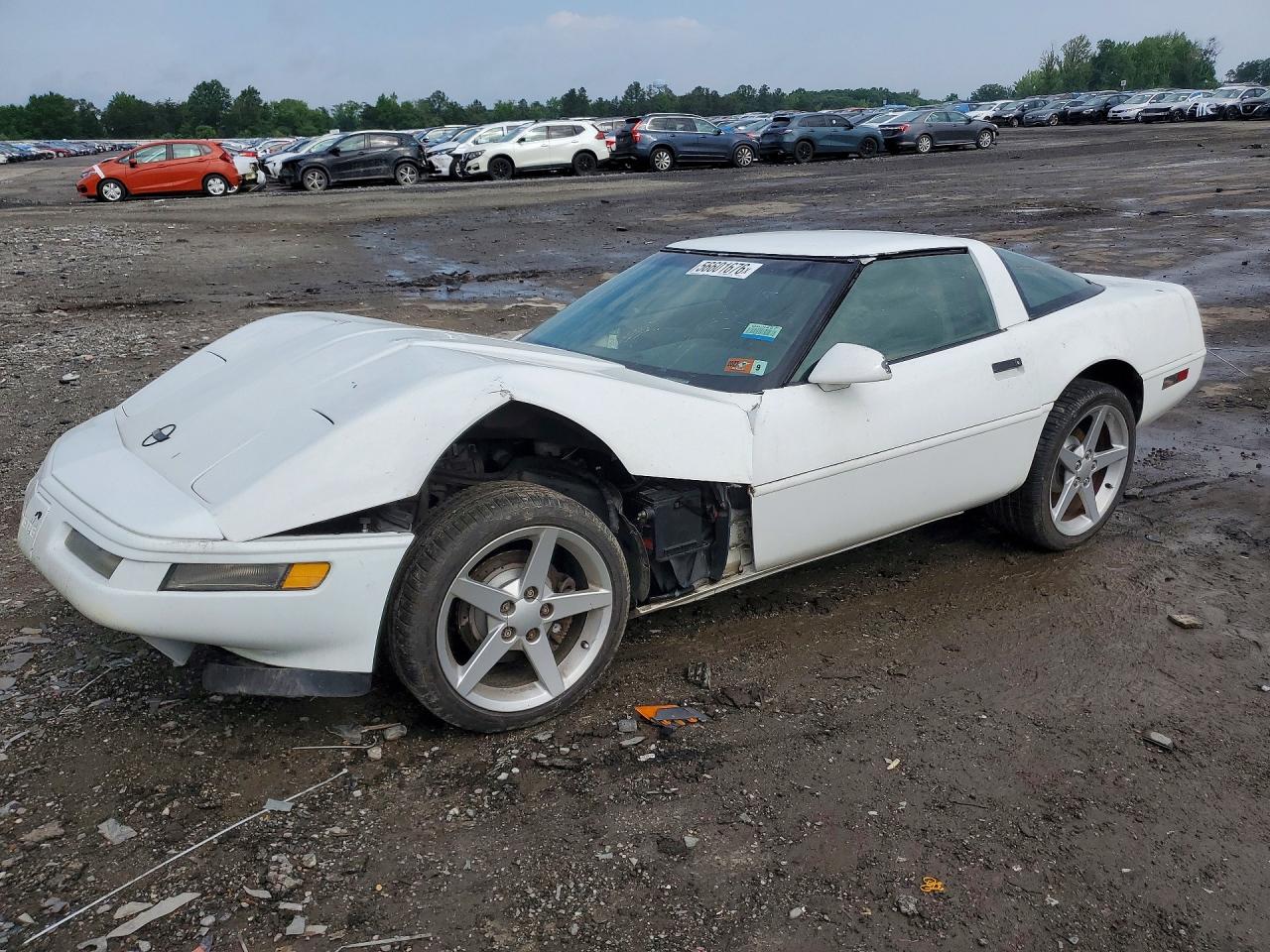 1996 Chevrolet Corvette, VIN 1G1YY22P3T5117623 — Front end