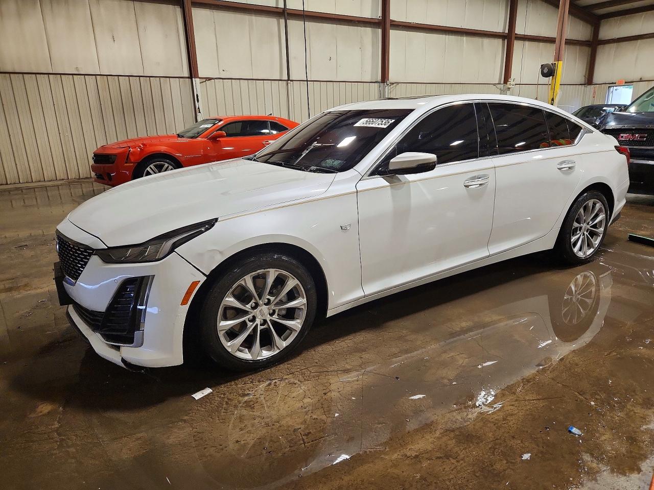 2022 Cadillac CT5 Premium Luxury, VIN 1G6DN5RK8N0136908 — Vandalism