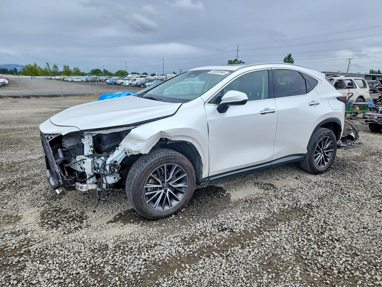 2023 Lexus NX 350h, VIN JTJAKCEZ6P5007133 — Front end