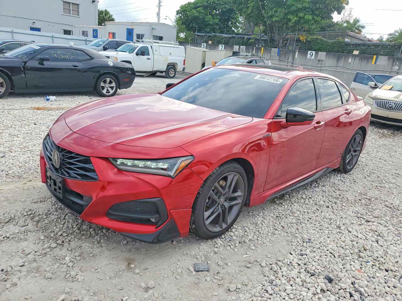 2025 Acura TLX w/A-Spec Package, VIN 19UUB6F5XSA002841 — Мелкие вмятины и царапины
