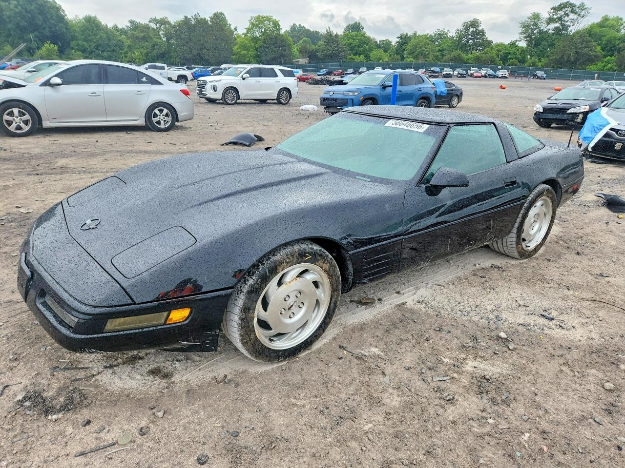 1993 Chevrolet Corvette, VIN 1G1YY23P1P5103059 — Side