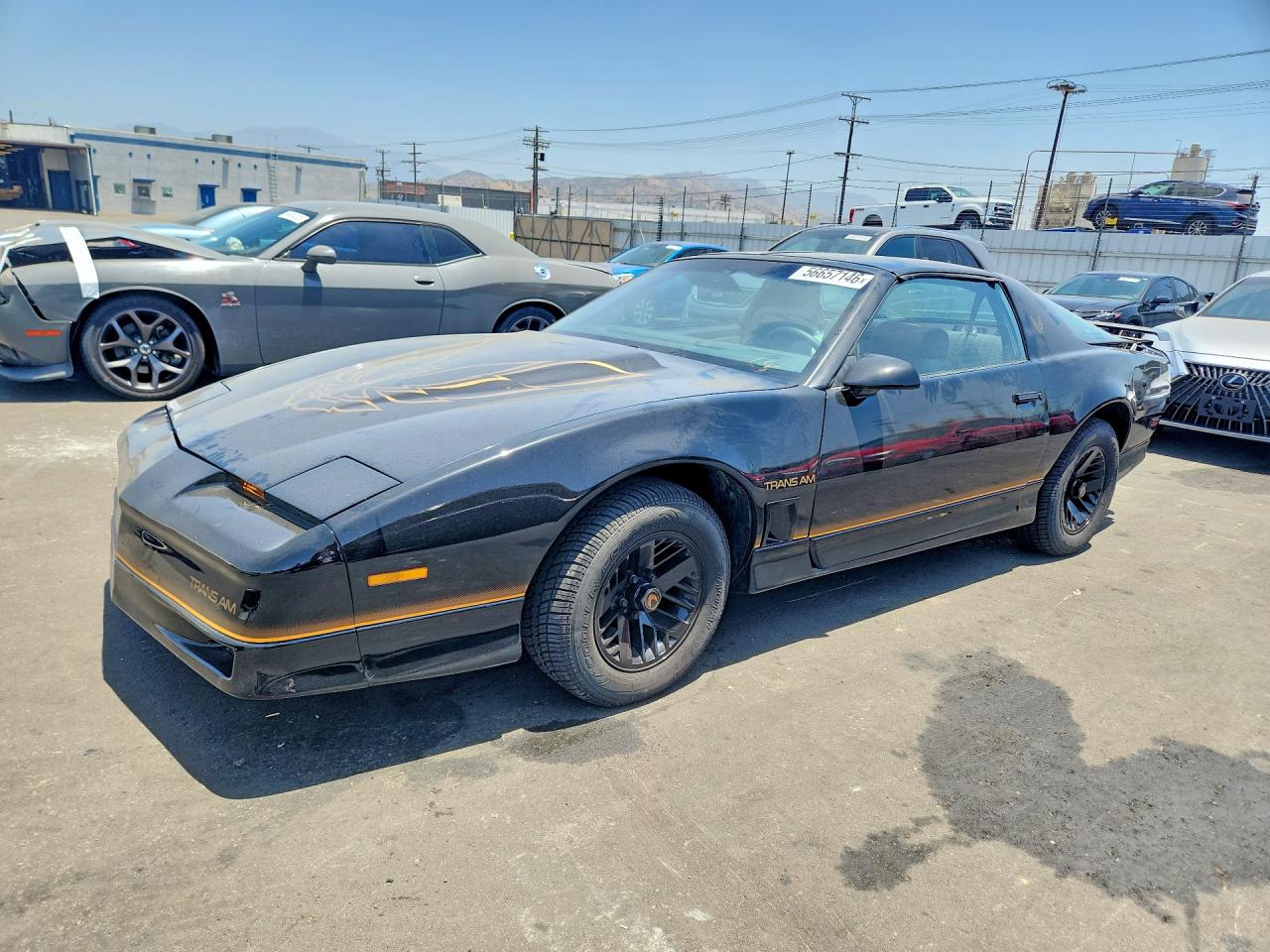 1985 Pontiac Firebird Trans Am, VIN 1G2FW87H5FL202072 — Rear end