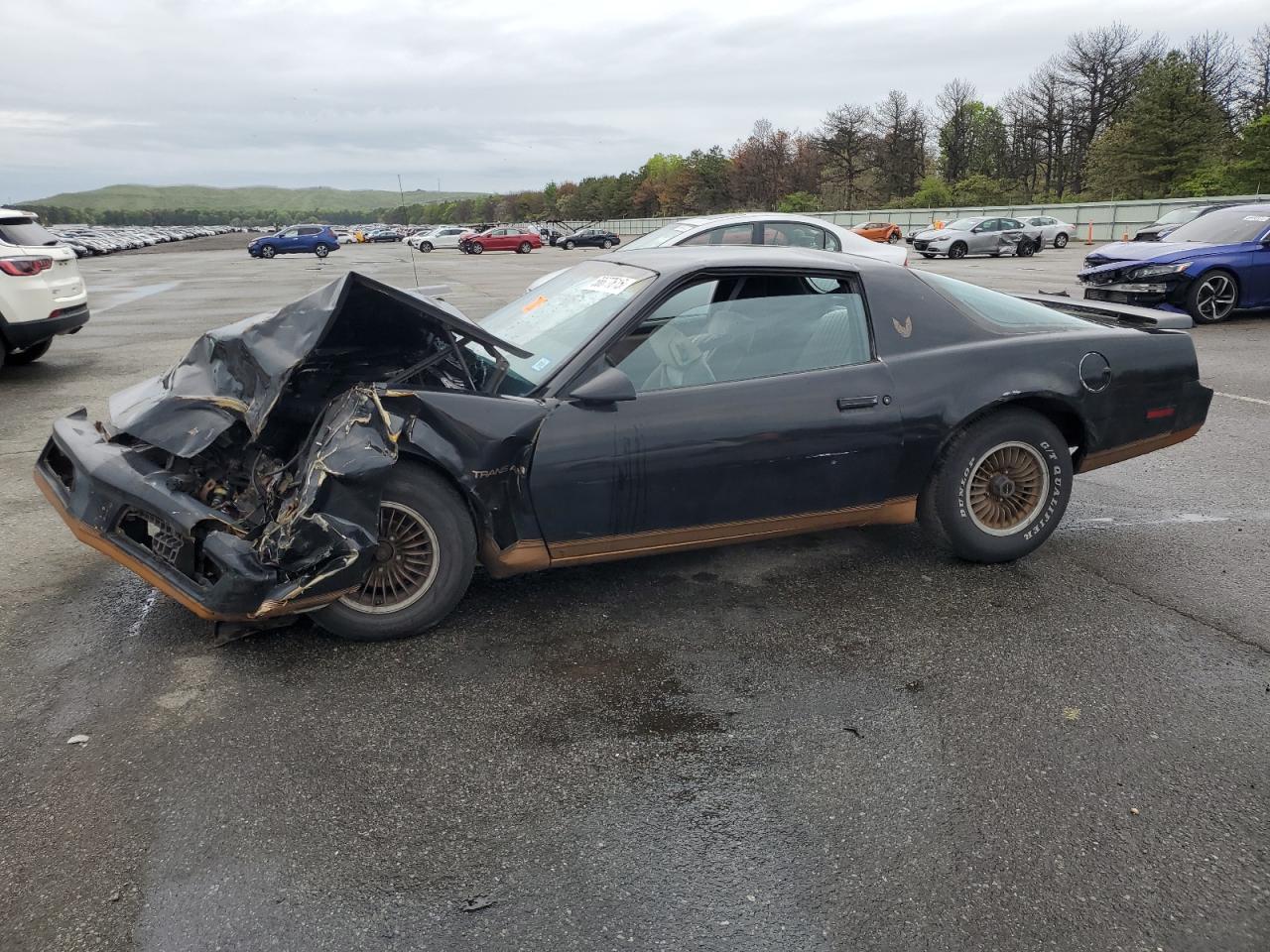 1983 Pontiac Firebird, VIN 1G2AW87H5DN231857 — Front end